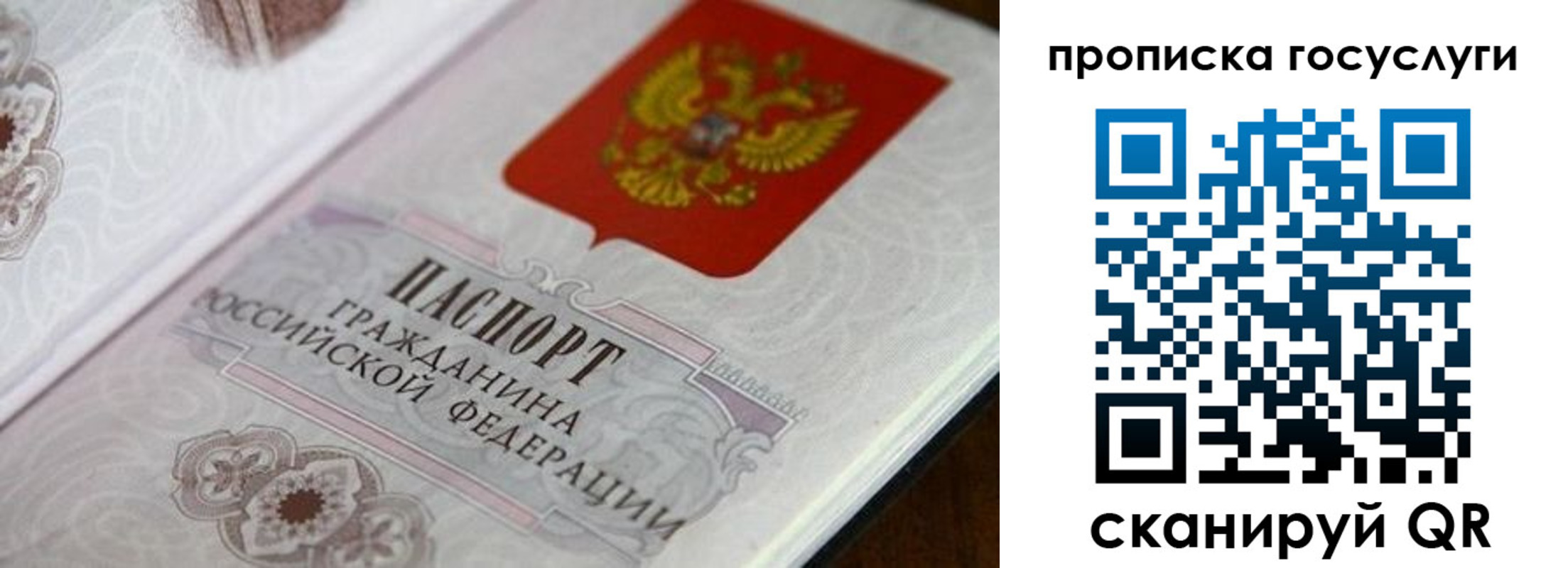 временная регистрация гарантия в Норильске